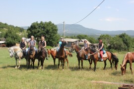 Конные прогулки