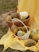 Ваше событие в Кутлер